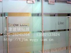 供应天津东北角办公室玻璃贴膜防撞条公