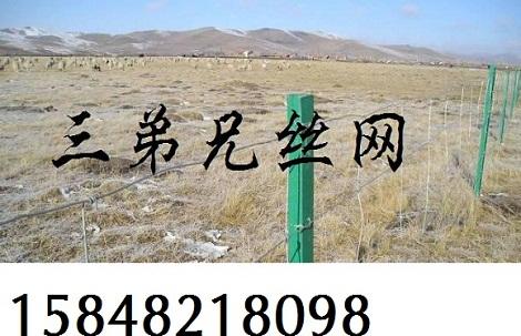 供应内蒙古网围栏