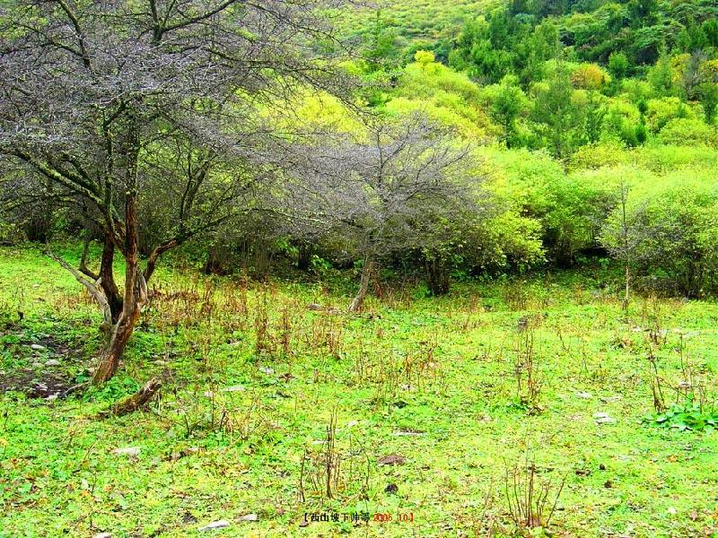 供应阿坝旅游景点