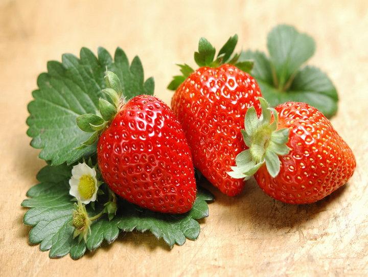 出售北京草莓苗 北京章姬草莓苗 北京红颜草莓苗 北京红袖添香草莓苗图片