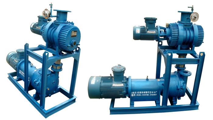 供应水环真空泵机组罗茨水环泵机组图片