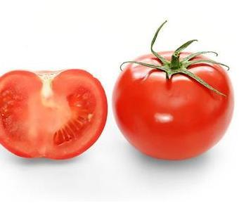 供应西红柿/番茄酱/西红柿价格/西红柿批发价格/西红柿价格行情/番茄