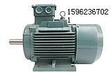 Y2电动机Y2-90S-4-1100W三相电机批发