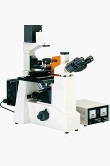供应XDY-1倒置荧光显微镜