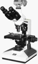 8CA-D数码摄影生物显微镜批发