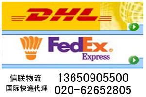 广州花地湾DHl快递DHL电话020-62652805图片