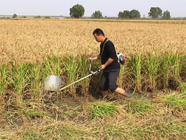 供应湖南水稻收割机多用收割机