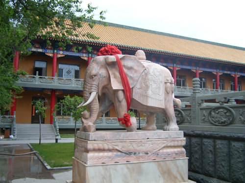 供应石象雕塑，大象雕塑