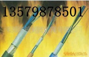 新疆诚信电缆厂家，耐火电力电缆，新疆耐火电力电缆VV图片