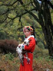 供应九寨沟出租车李师傅欢迎您来到童话世界----九寨沟九寨沟出租