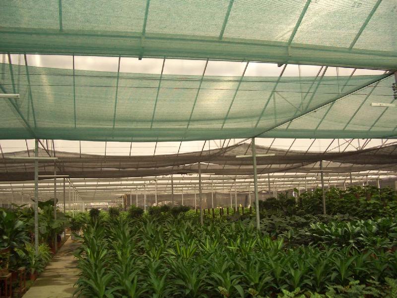 供应遮阳网，重庆遮阳网，养殖专用网，绿化专用网