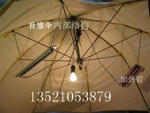 供应江苏南京育雏伞，养殖温控设备，雏鸡用育雏伞