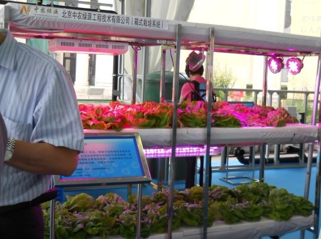 供应蓝莓专用生长灯植物增产灯