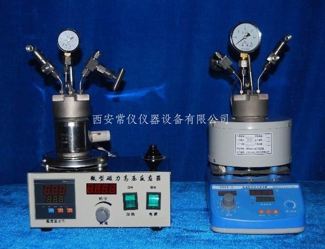 供应高压反应釜，微型磁力高压反应釜，反应釜图片
