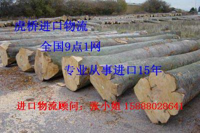 供应东南亚木材进口报关代理，东南亚木材进口代理，东南亚木材进口东图片