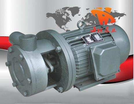 直连式旋涡泵 单级旋涡泵 不锈钢旋涡泵1W系列直连式单级旋涡泵