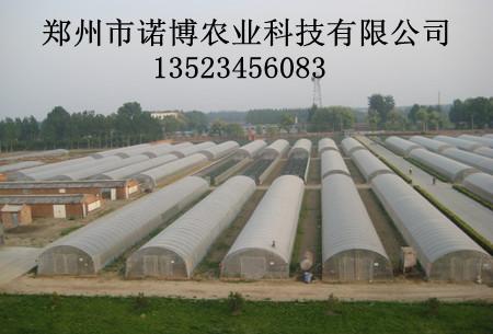 供应郑州大棚价格 运城蔬菜温室钢结构大棚骨架