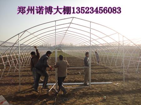 供应郑州大棚价格 运城蔬菜温室钢结构大棚骨架