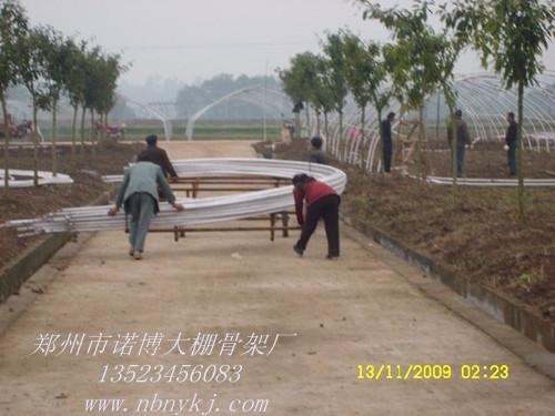供应郑州无支柱养殖大棚骨架建设成本，蔬菜大棚支架机