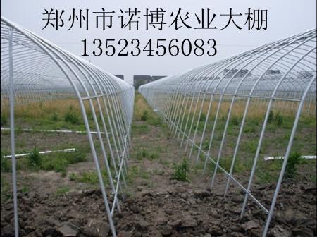 供应郑州单体钢管温室拱棚大棚骨架图片