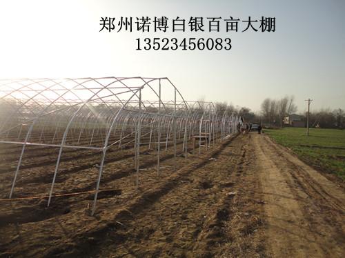 供应日光玻璃温室大棚骨架 郑州钢结构蔬菜大棚制作