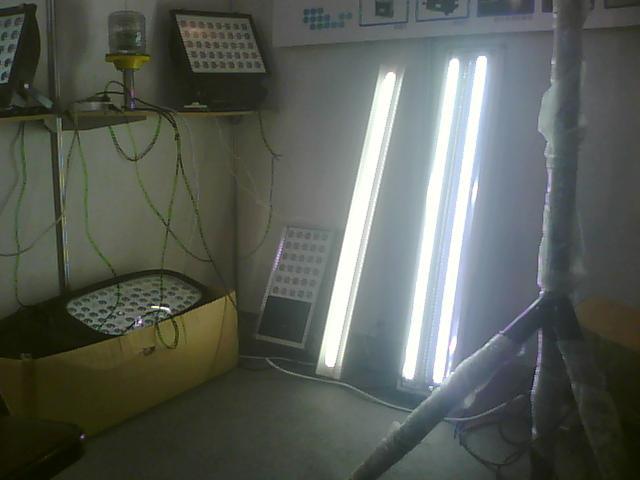 供应合肥LED日光灯 合肥LED日光灯管 合肥LED格栅灯