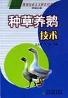 供应农家养鹅及种草养鹅新技术+四季鹅养殖技术CCTV7中国农影音