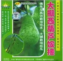 供应西葫芦嫁接育苗技术西葫芦栽培季节如何种植西葫芦