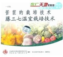 供应藤三七温室立体栽培方法苦苣栽培