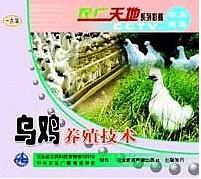 乌鸡养殖技术视频光盘乌鸡养殖前景批发