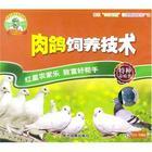 北京市肉鸽养殖的夏季管理肉鸽的冬季饲养厂家