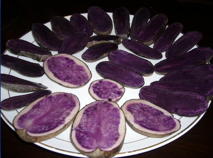 【土豆品种紫色】