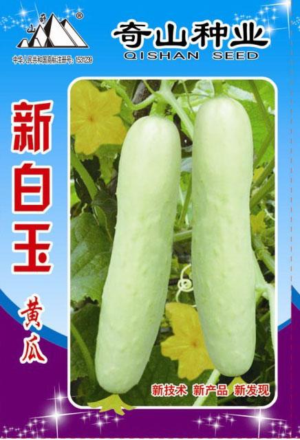 供应四川特菜种子出售白玉水果黄瓜种子 批发水果白黄瓜种子图片