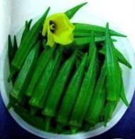 绿色黄秋葵富含有锌和硒等微量元素批发