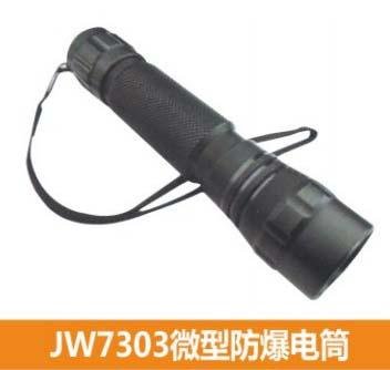 供应JW7303微型防爆电筒1