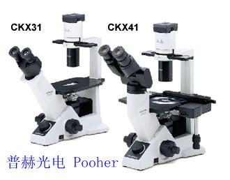 供应奥林巴斯研究级倒置显微镜CKX31 CKX41