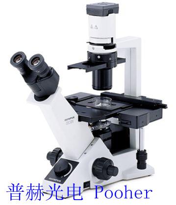 供应奥林巴斯倒置显微镜CKX41