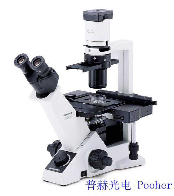 奥林巴斯倒置显微镜CKX41批发