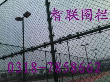 供应网球场围网，网球场围网厂家，网球场灯杆，球场灯图片