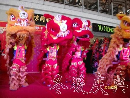 供应北京舞狮舞龙表演威风锣鼓表演女子打击乐表演