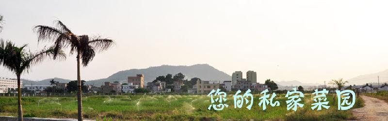 深圳市租地种菜小康私家菜园卡厂家