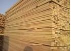 供应东南亚木材进口报关及进口清关流程