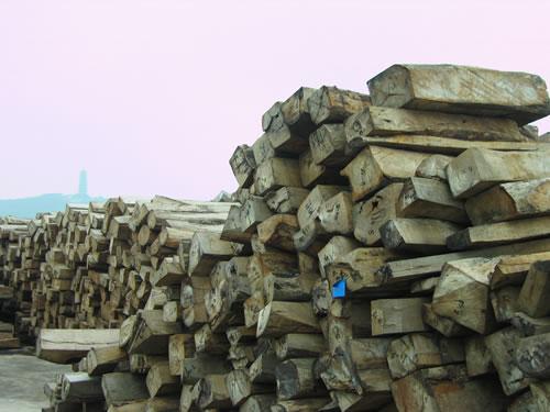 中美洲黄檀原木材进口清关报关公司批发