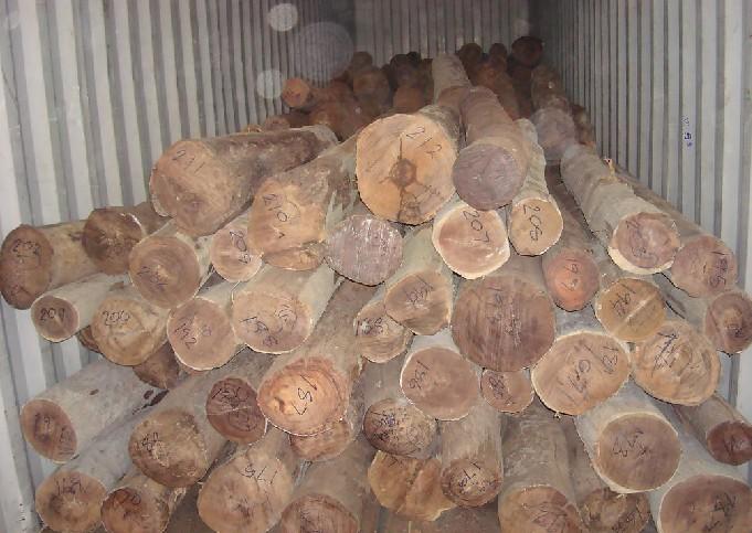 深圳大红酸枝木材进口报关清关流程，如何进口老挝红酸枝板材、木方？图片