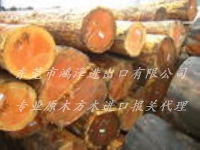 无刺甘蓝豆原木进口报关清关流程手续深圳港甘蓝豆木材进口代理