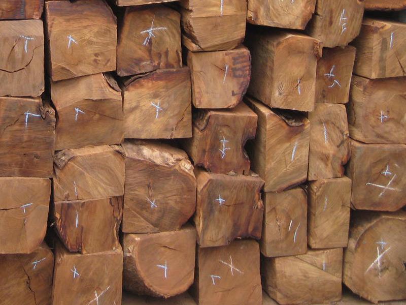 黄埔港原木板材进口报关清关公司广州木材进口流程资料单证手续费用
