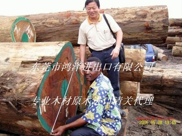 马来西亚印尼木材进口清关报关流程深圳代理印尼原木材进口报关公司