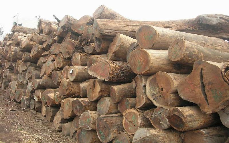 巴西花梨木材进口报关清关商检公司批发