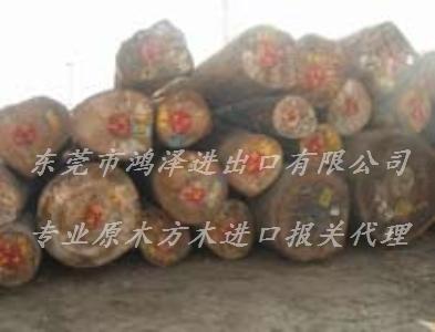 圭亚那铁木豆原木进口报关清关公司深圳圭亚那木材进口资料单证手续