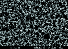 whatman再生纤维滤膜 10410212 0.45um 47mm图片